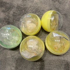 うちの子のけだまだま　柴犬　三角タレミミの画像