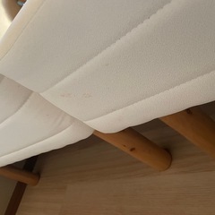 クイーンベットの画像