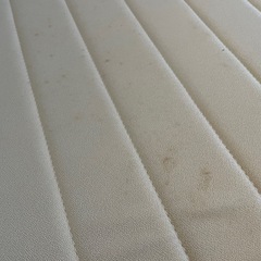 クイーンベットの画像