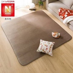 ニトリ ふっくらウレタン入り 吸湿発熱 蓄熱ラグ ＮウォームSPo-i MO 185×185の画像