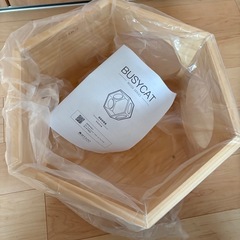 MYzooキャットウォークの画像