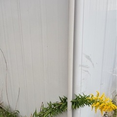 【新年お年玉値引‼️】ヨド物置　エルモ　の画像