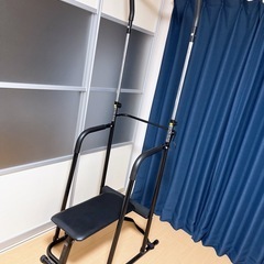 ALINCO マルチ懸垂マシン FA917の画像