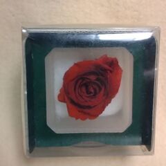 Rose Cube(プリザーブドフラワーのバラの置物)の画像