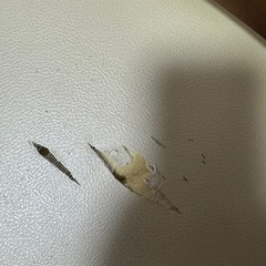 	【無料】回転ダイニングチェア1脚の画像