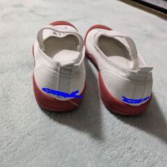 体育館シューズ　バレーシューズ　20センチの画像