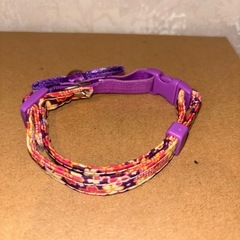 猫首輪和柄の画像