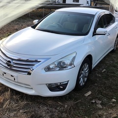 日産　ティアナ の画像