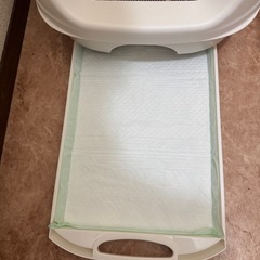 デオ猫トイレの画像