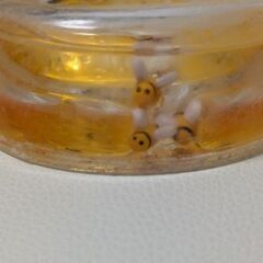 石鹸置き　透明　くまのプーさんの画像