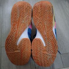 NIKEレブロン ウィットネス 7 EP 28.0cmの画像