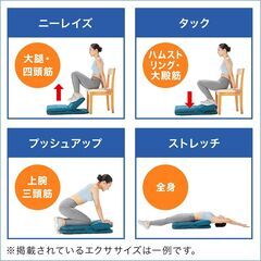 ゴロネックス 座椅子型フィットネスマシンの画像