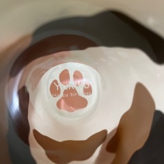 食器、コップの画像