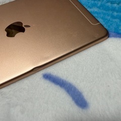【ケース付き】 iPad mini 第5世代 64GB Cellularモデルの画像
