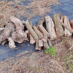 薪 全部まとめての画像