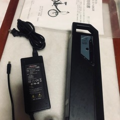 フィールドチャンプ電動ノーパンク自転車の画像