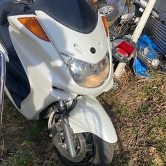 マジェスティーSG03J型　フルノーマル良好車両‼️の画像