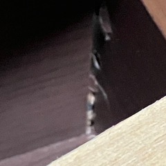 ニトリのベッドの下の収納　2個‼️の画像