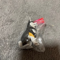 ガチャガチャ　目からビーム黒柴の画像