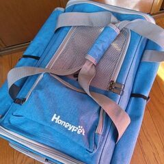 犬　ペット用キャリーバッグ【美品】の画像