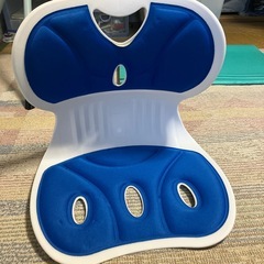 腰椎サポートクッションの画像