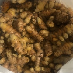 生ウコンNghệ tươiの画像