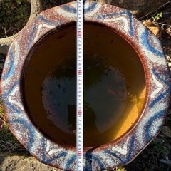 火鉢　メダカ　金魚の画像