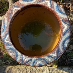 火鉢　メダカ　金魚の画像