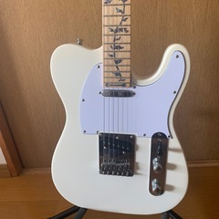 プレイテック　　　テレキャスター
の画像