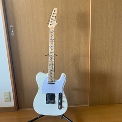 プレイテック　　　テレキャスター
の画像