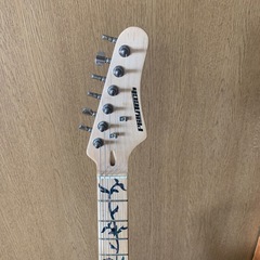 プレイテック　　　テレキャスター
の画像