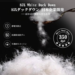 【新品】羽毛布団 セミダブル 85% グレーの画像