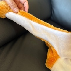 芝犬帽子の画像