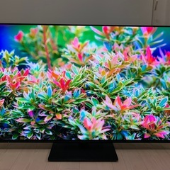 取引き中【2023年製】55型 有機ELテレビ Panasonic VIERAの画像