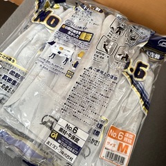 富士グローブ ＃６フジマーク Ｍ　9点セットの画像