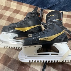 すけーとの画像