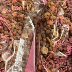 ドッグフード★グラン・デリ ふっくら仕立て 超小粒の大袋の中の小袋2袋の画像