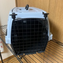 [決定]犬用キャリーバッグ の画像