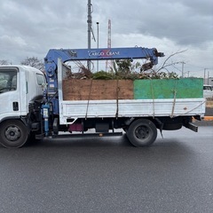 処分にお困りの植木など