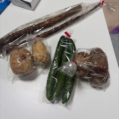 やさい野菜の画像