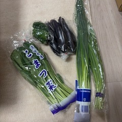 やさい野菜の画像