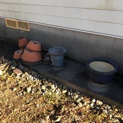 植木鉢の画像