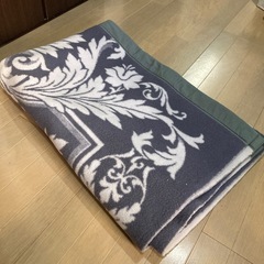 毛布とカバー　ペットなどにもの画像