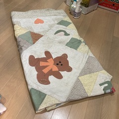 毛布とカバー　ペットなどにもの画像