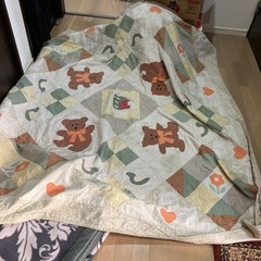 毛布とカバー　ペットなどにもの画像