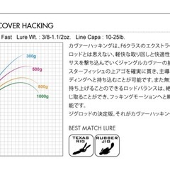 未使用レア　メガバスオロチカイザ　F6-68Xの画像