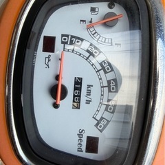 ヴェルデ(ベルデ)  スズキの画像