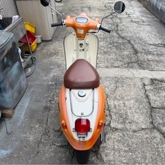 ヴェルデ(ベルデ)  スズキの画像