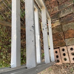 脚立六段の画像