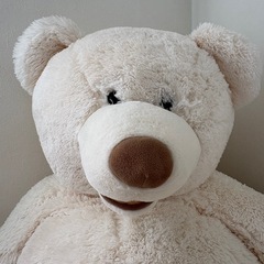 大きいクマのぬいぐふみ（ホワイト）の画像